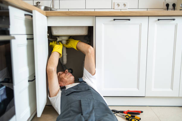 Best Local Plumber Services  in Lipscom, AL